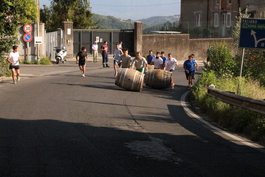 serrone 2014 (27)